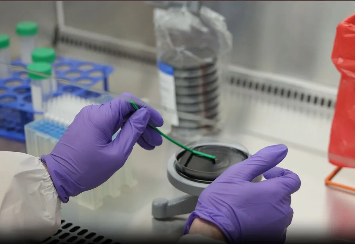 Legionella water analysis in a laboratory biosafety cabinet