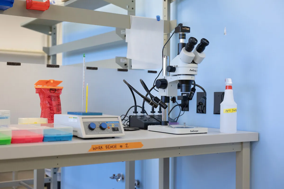 Laboratory bench with a microscope and sample supplies